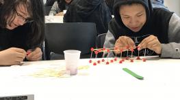 Sherbrooke Public School Students - Bridge Building with Civil Students