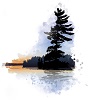 CPAL Logo