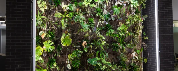Sustainability Green Wall