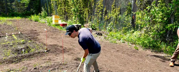 Student working in community garden