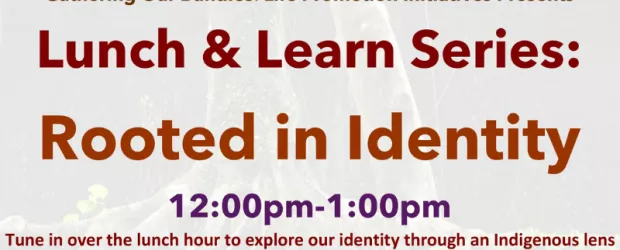 lunch and learn