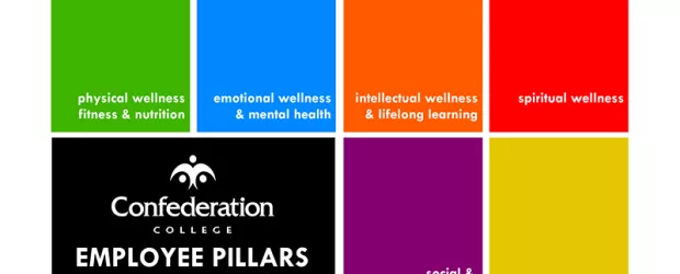 Employee Wellness look  and pillars