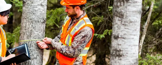 photo - Foresty Technician students measuring tree circumference