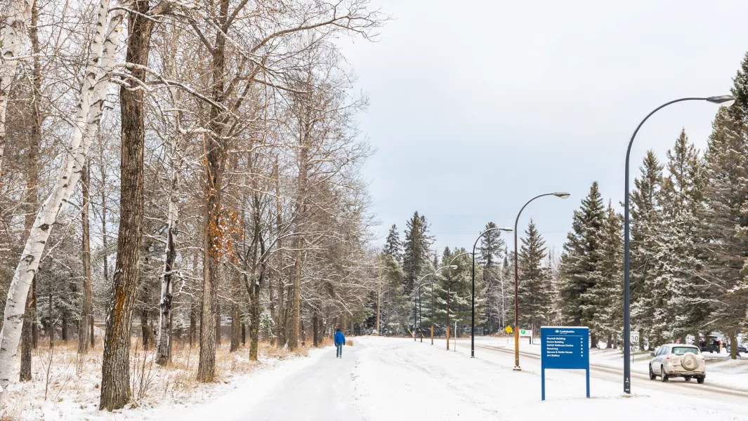 Confederation College winter territory