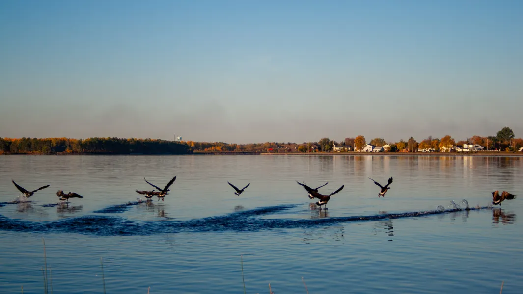 Fort Frances View