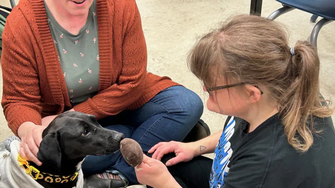 Developmental Services Worker - service dog