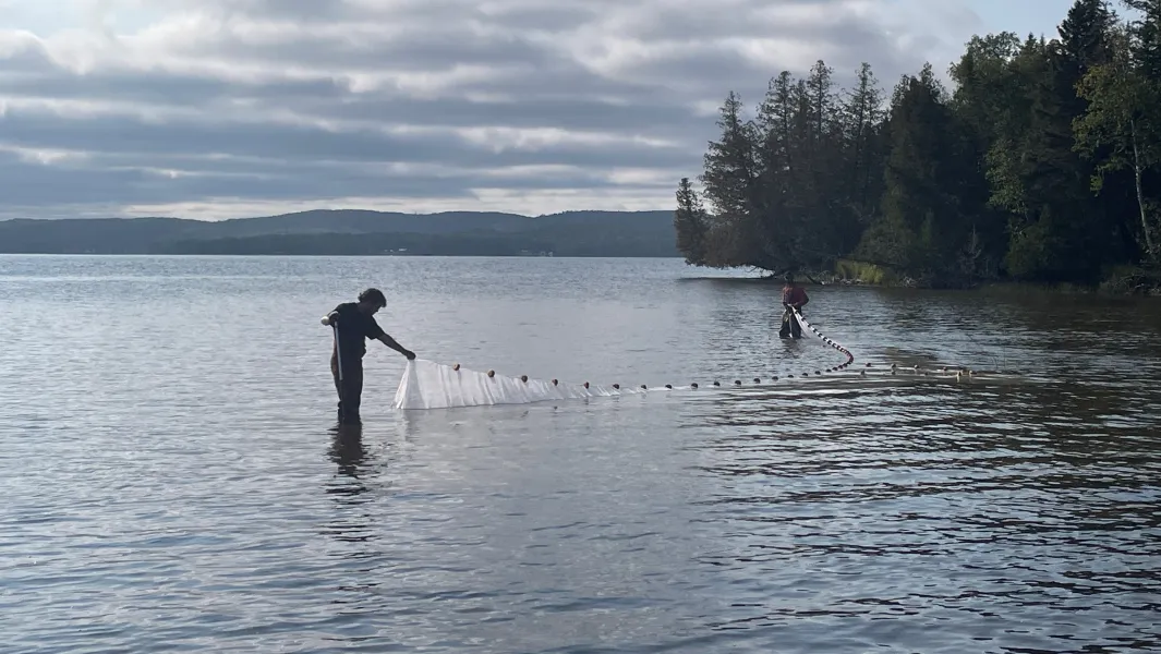 Water Resource Management