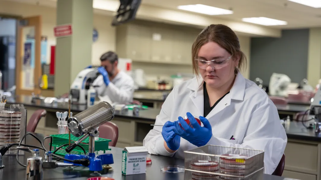 Student in lab coat preparing a petri dish sample at a laboratory workstation