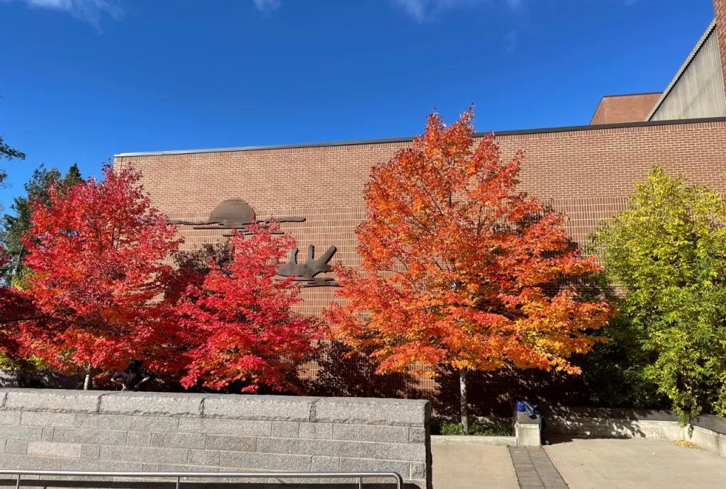 Trees Trees