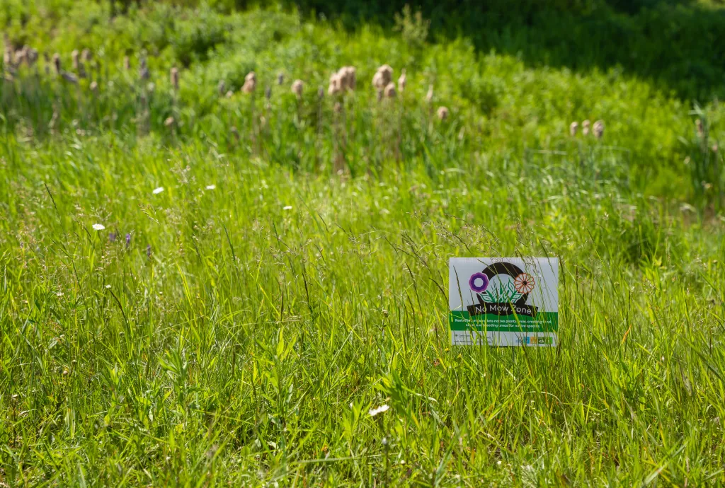 Image of a No Mow Zone