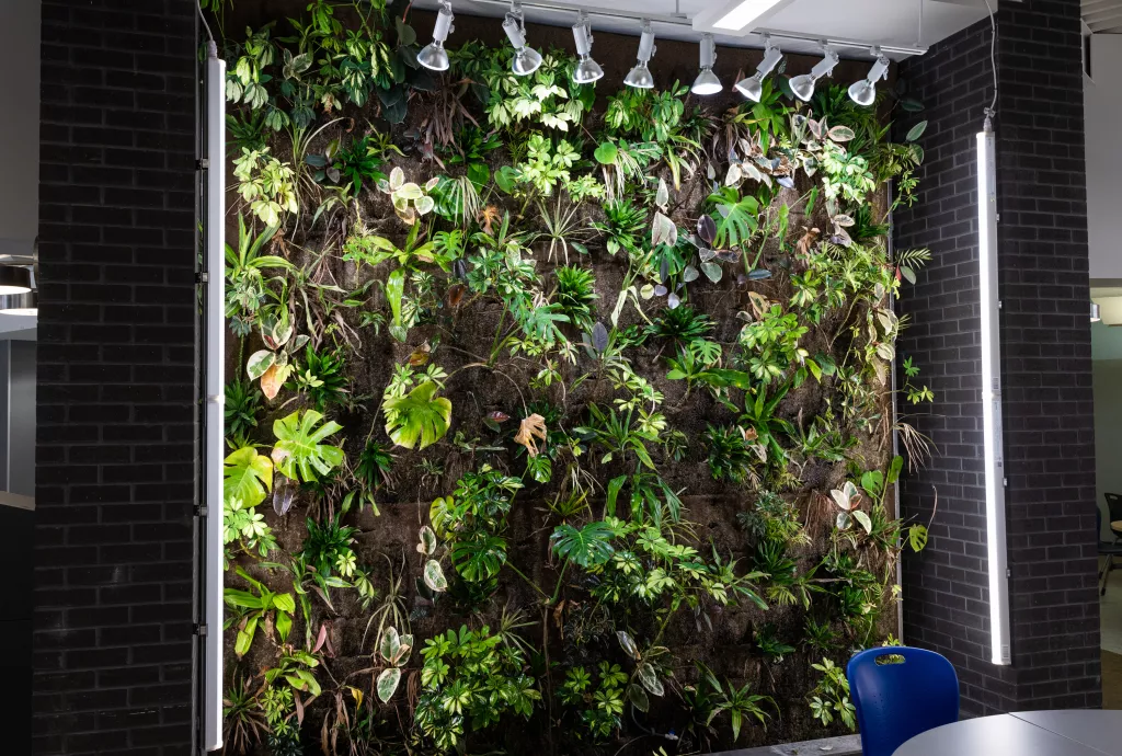 Image of living wall filled with plant life inside the McIntyre Building 