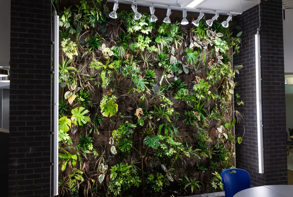 Sustainability Green Wall