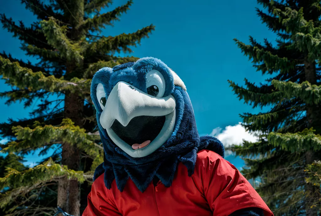 Confederation College - Storm AI
