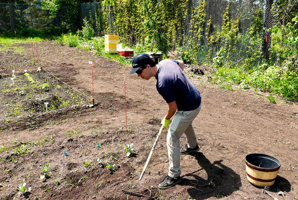 Student working in community garden