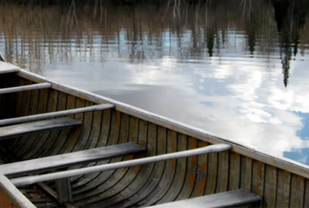 birch bark canoe