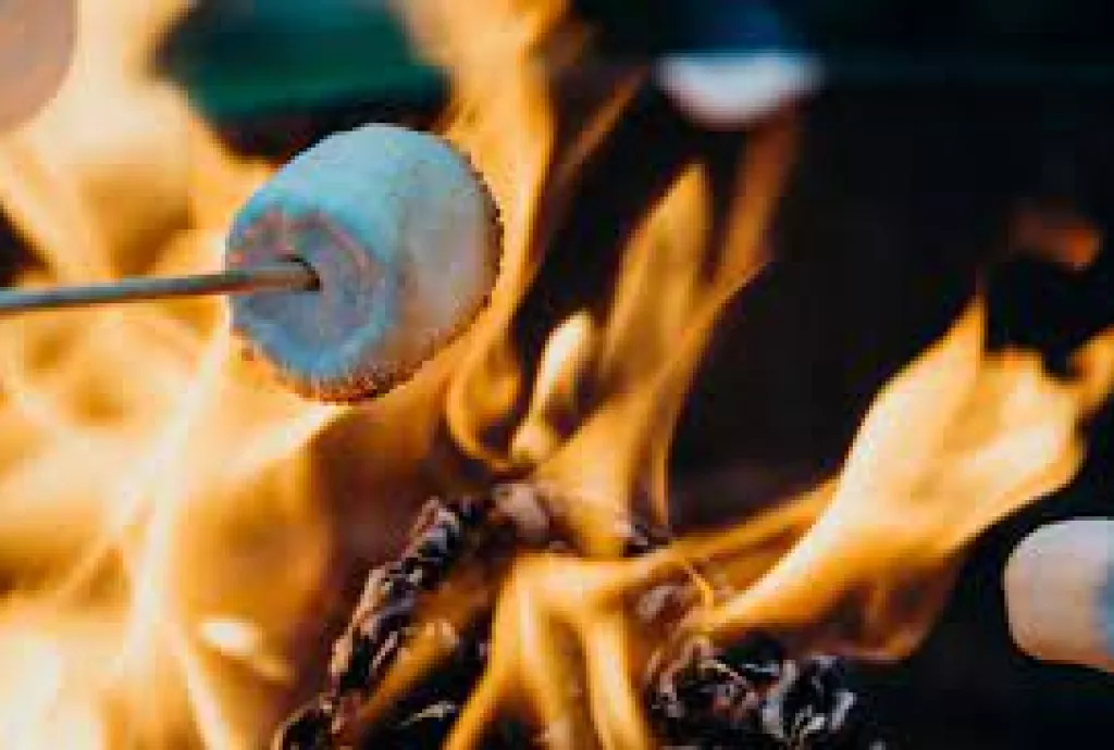 marshmallow roasting by a campfire