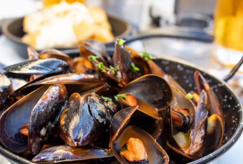 Mussels in Cream Sauce