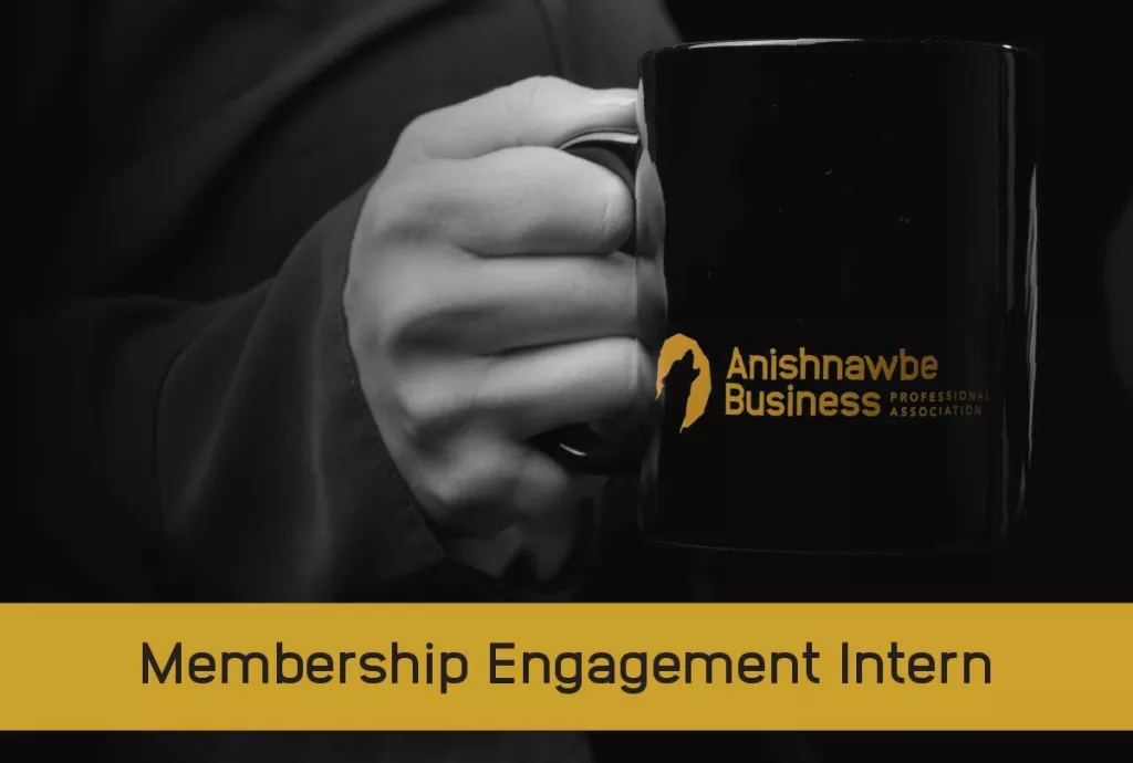 ABPA Promo Intern Position
