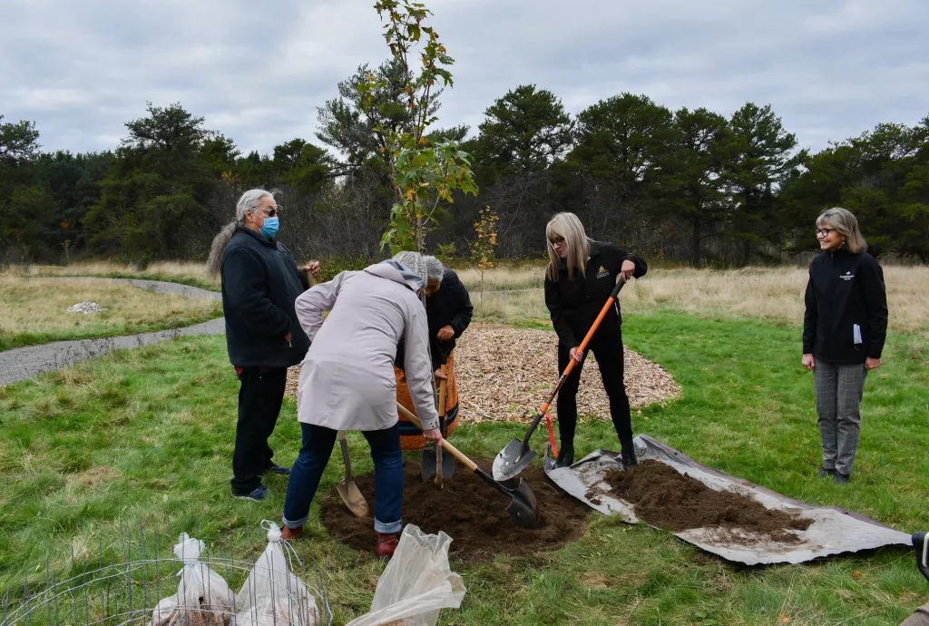 Tree Planting