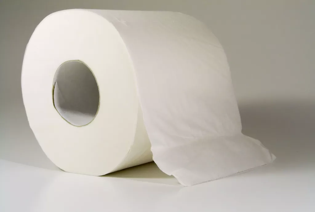 Roll of Toilet Paper