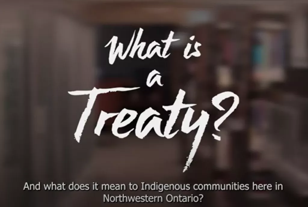 What is a Treaty?