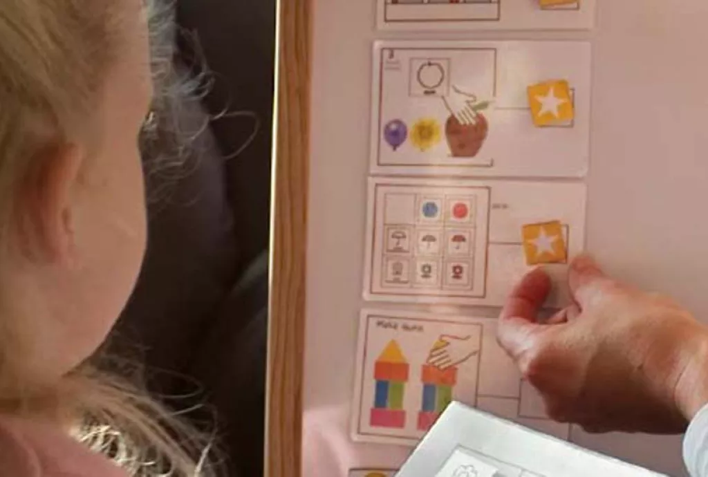 photo - behavioural testing with a child