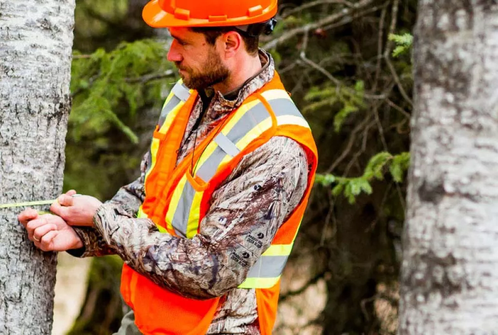 photo - Foresty Technician students measuring tree circumference