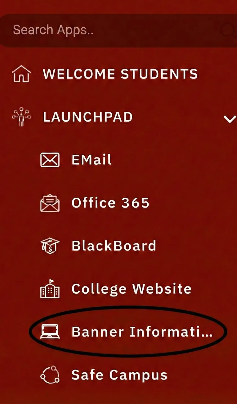 Student portal navigation menu with Banner Information link highlighted