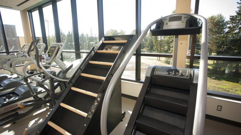 SUCCI Wellness Centre - Jacob's Ladder