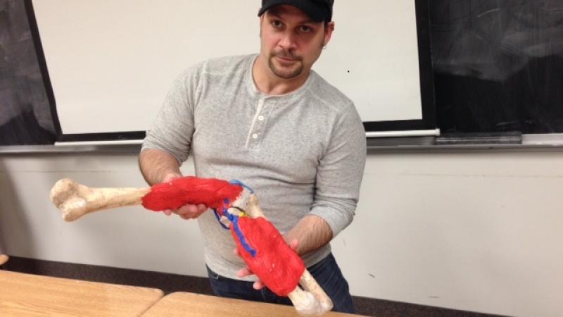 Learning about body systems