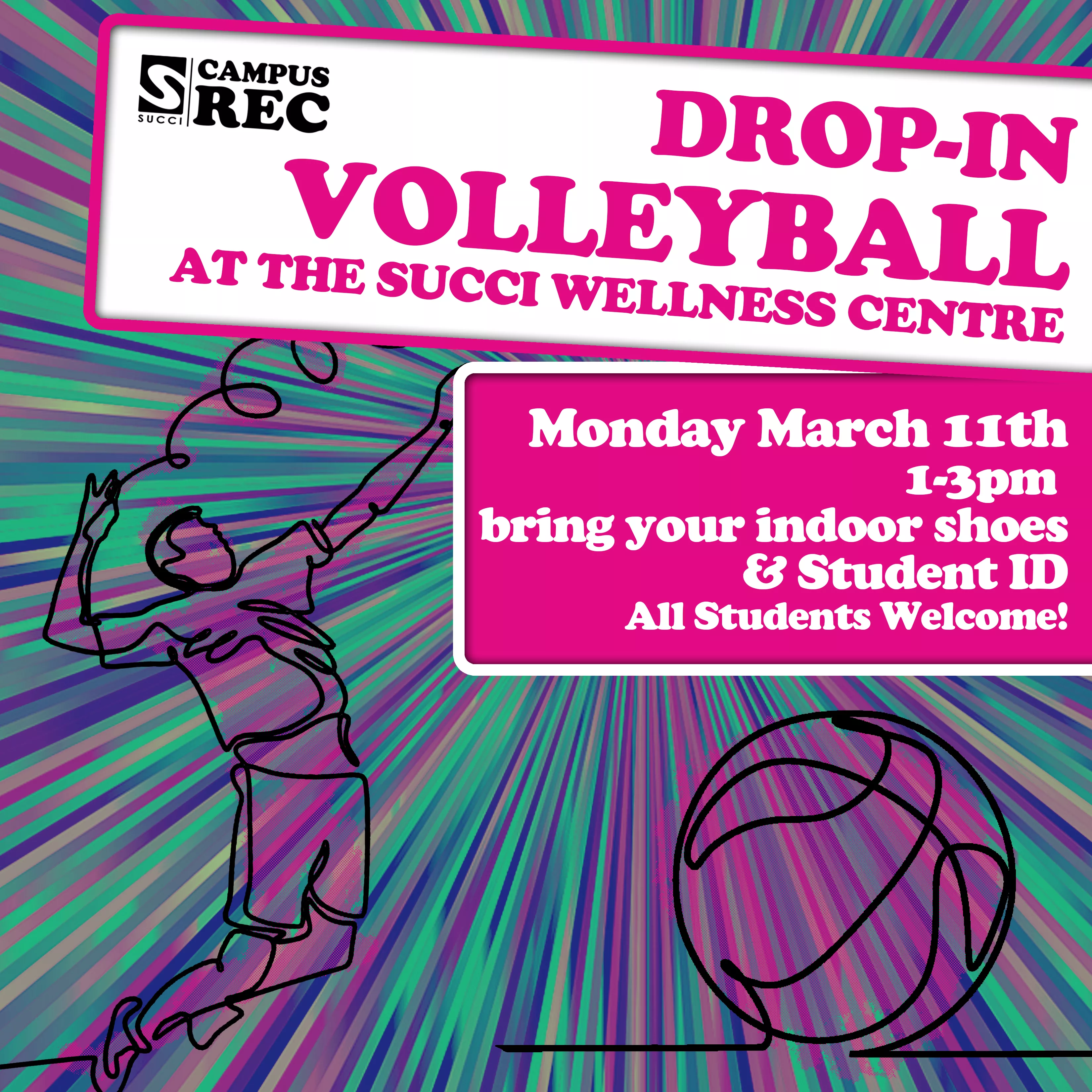 Drop In Volleyball