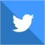 Twitter Icon