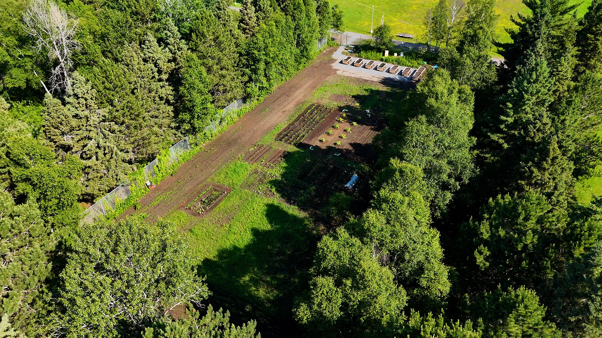 Confederation College Community Garden