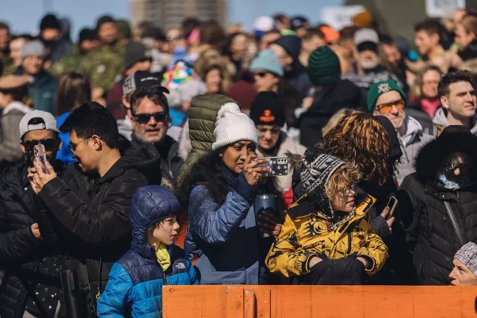 Polar Bear Plunge